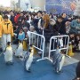 海遊館・ペンギンパレード
